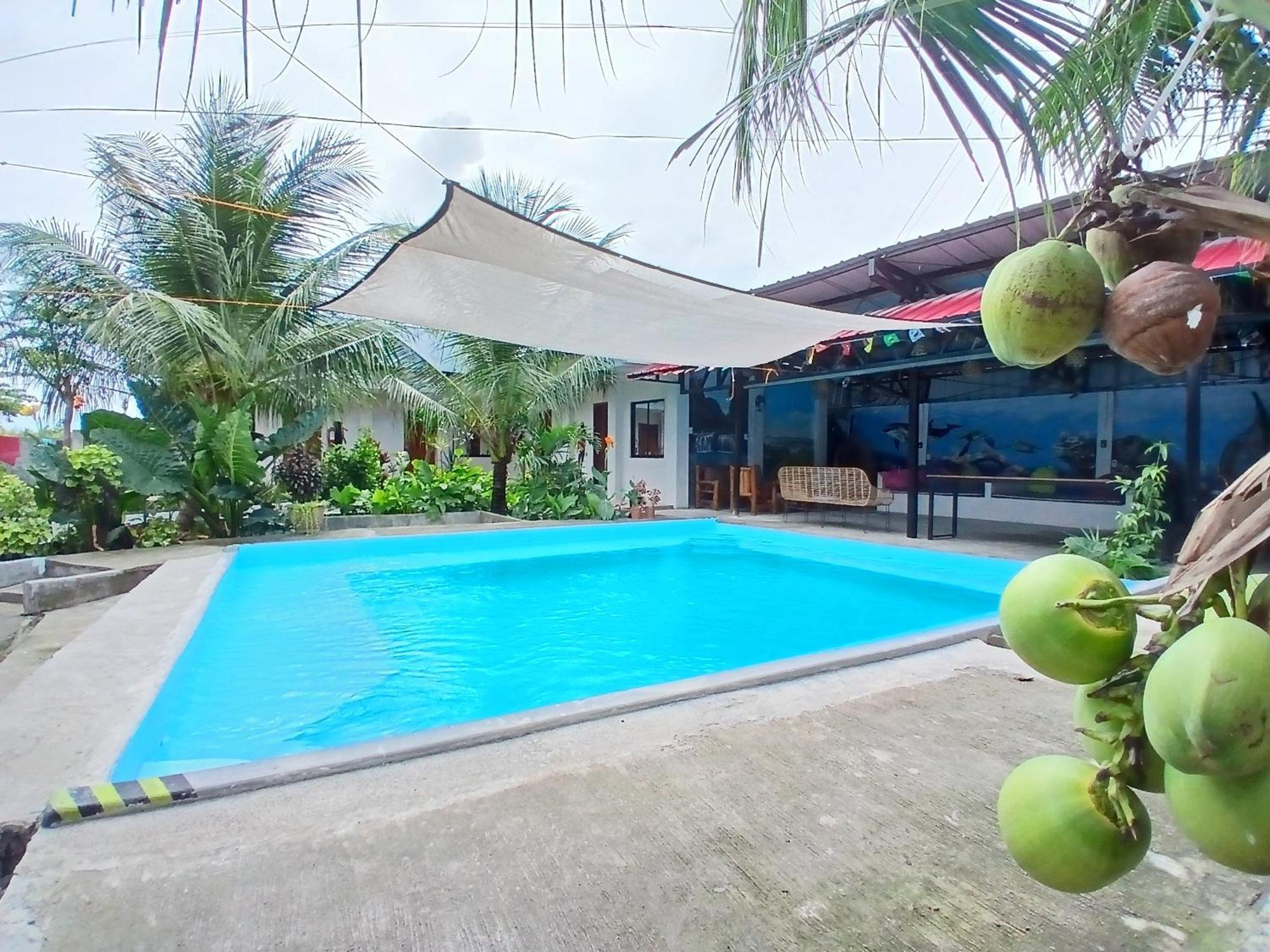 Ananas Guesthouse Moalboal Luaran gambar