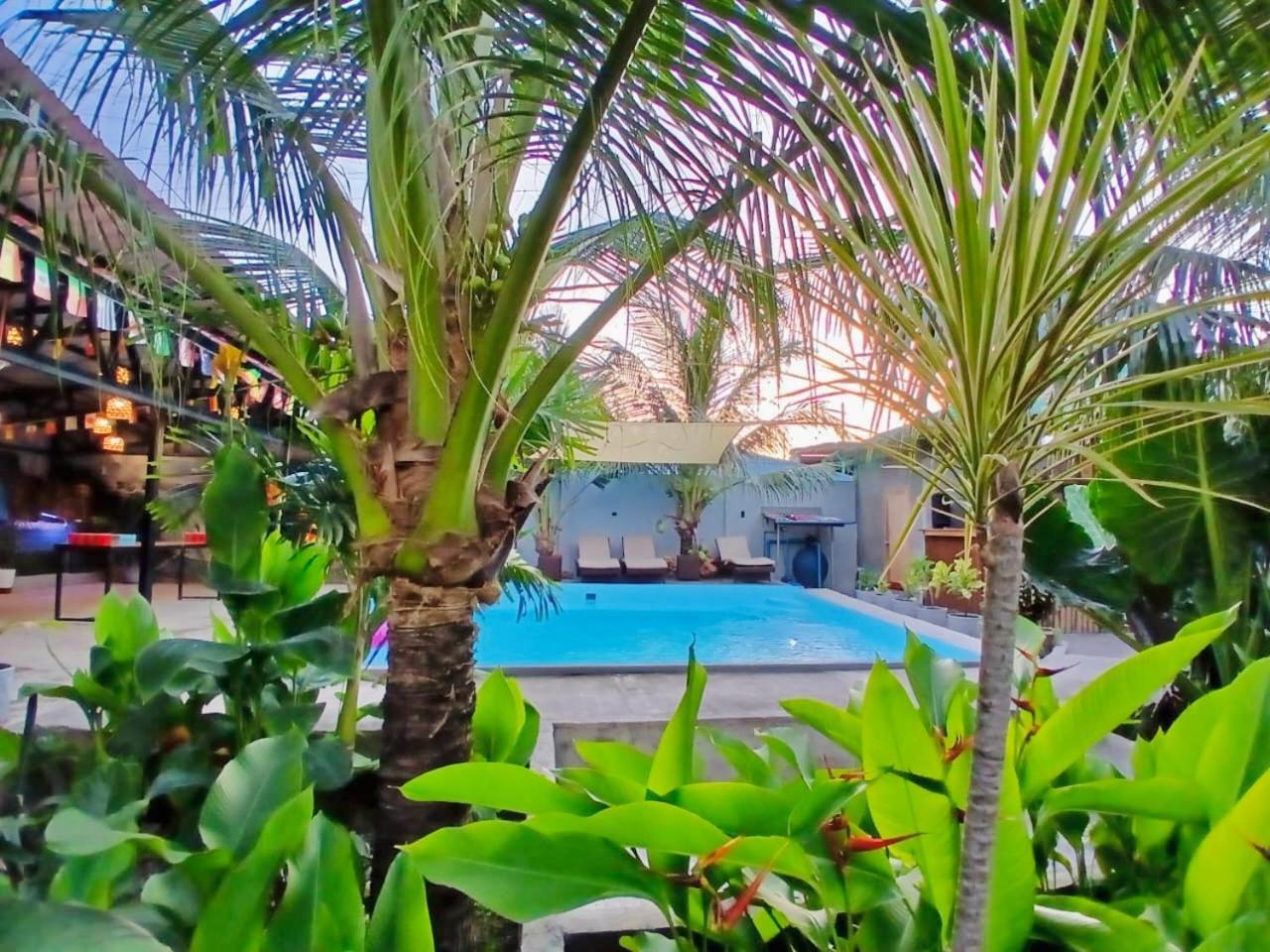 Ananas Guesthouse Moalboal Luaran gambar