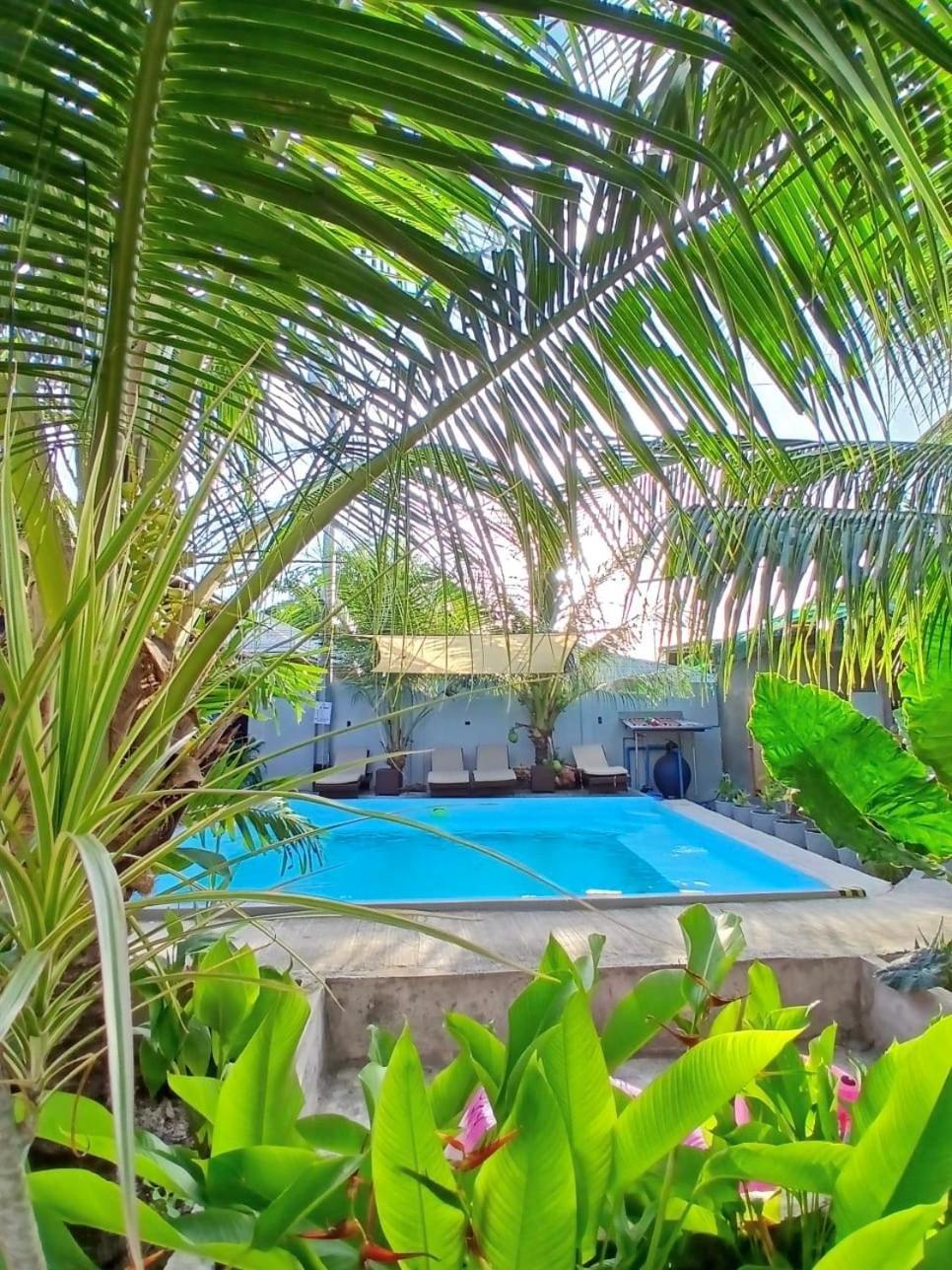 Ananas Guesthouse Moalboal Luaran gambar