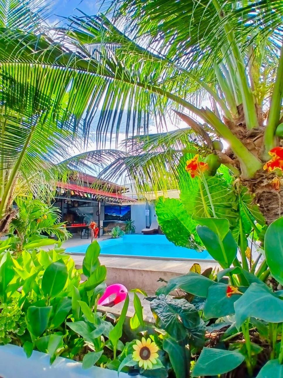 Ananas Guesthouse Moalboal Luaran gambar