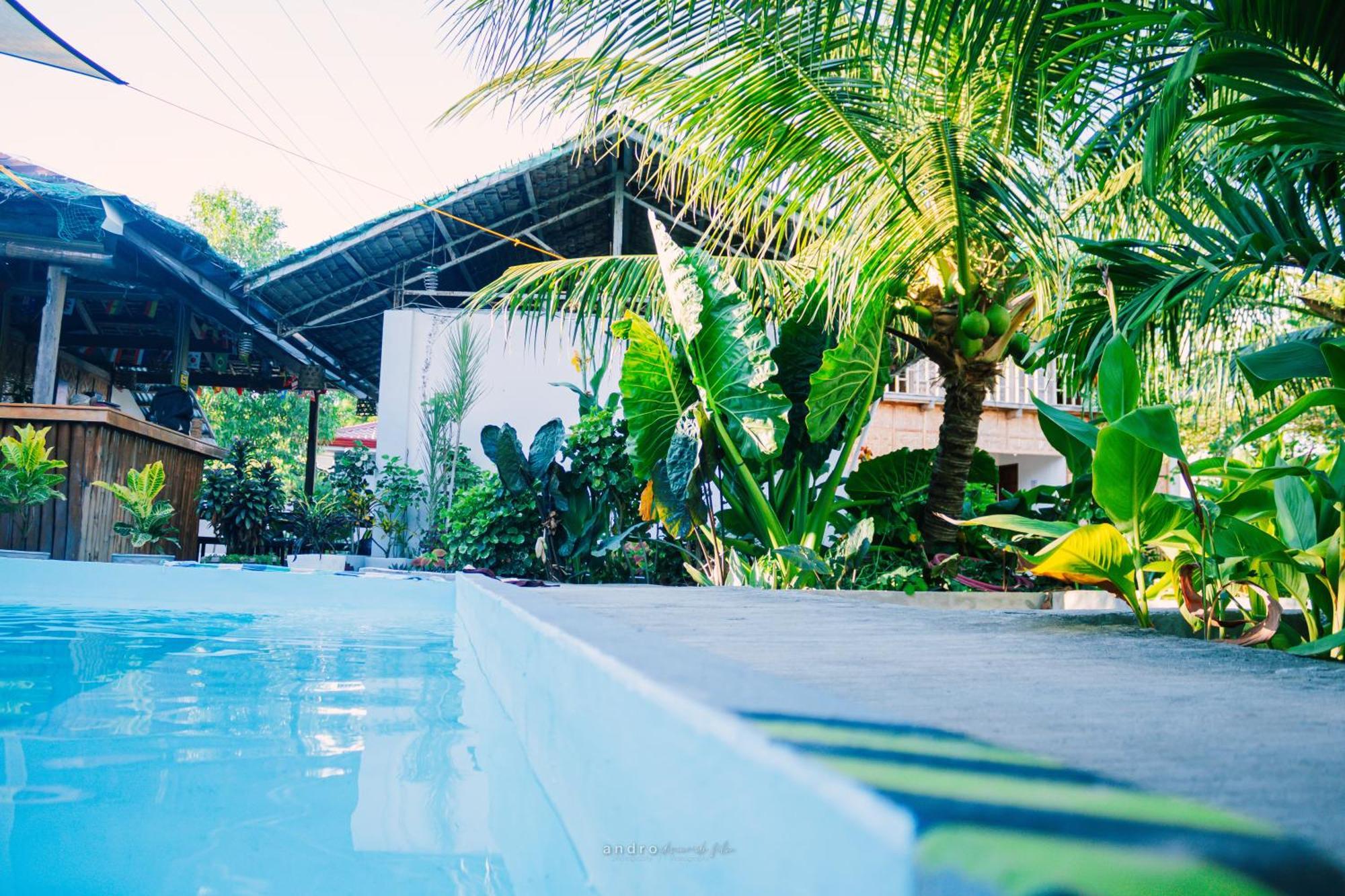 Ananas Guesthouse Moalboal Luaran gambar
