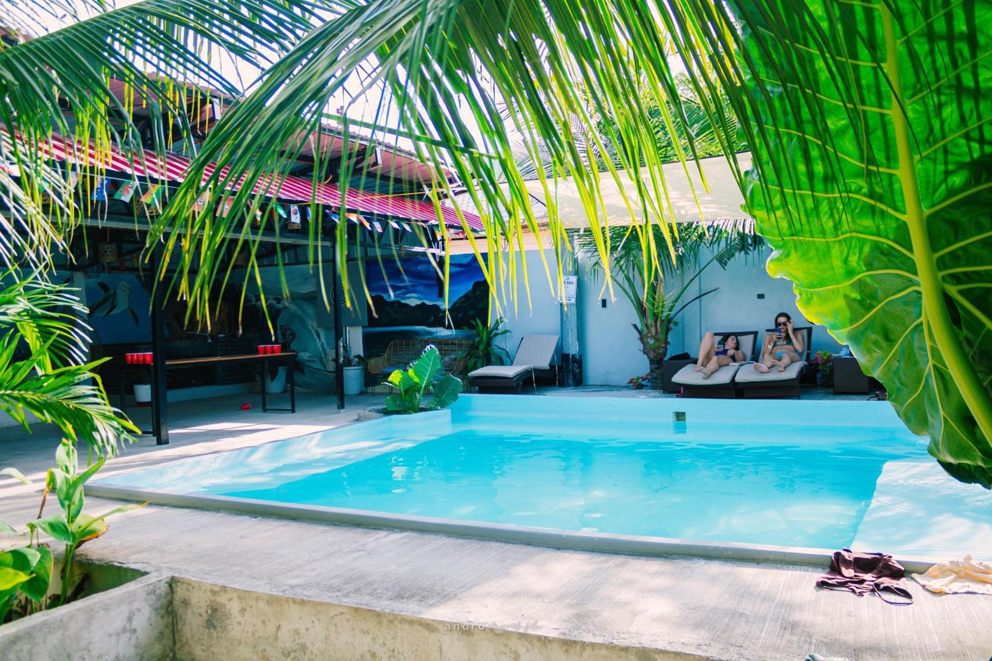 Ananas Guesthouse Moalboal Luaran gambar